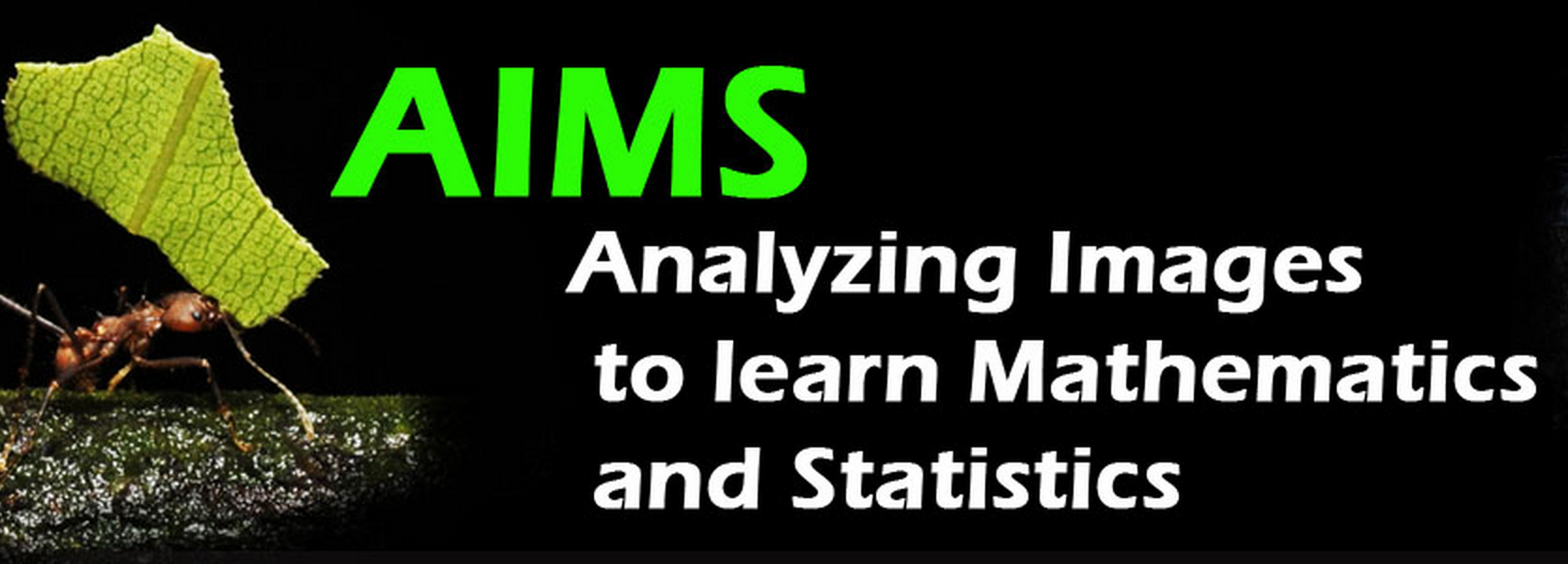 AIMS: Analyzing Images to learn Mathematics and Statistics group image