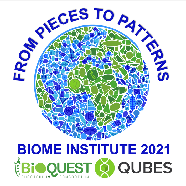 2021 Biology and Mathematics Educators (BIOME) Institute Logo