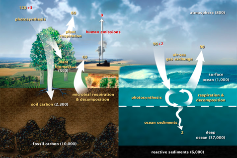 Promoting Climate Change Literacy for Non-majors: Implementation of an atmospheric carbon dioxide modeling activity as an inquiry-based classroom activity