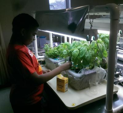 Uploaded image Kendall_Goins_Measuring_Electrical_Conductivity_and_pH_in_hydroponic_garden.jpg