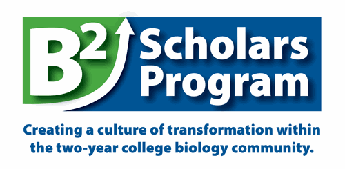 B2 Scholars: Creating a culture of transformation within the two year college biology community Logo