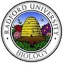 Radford Evolution Logo