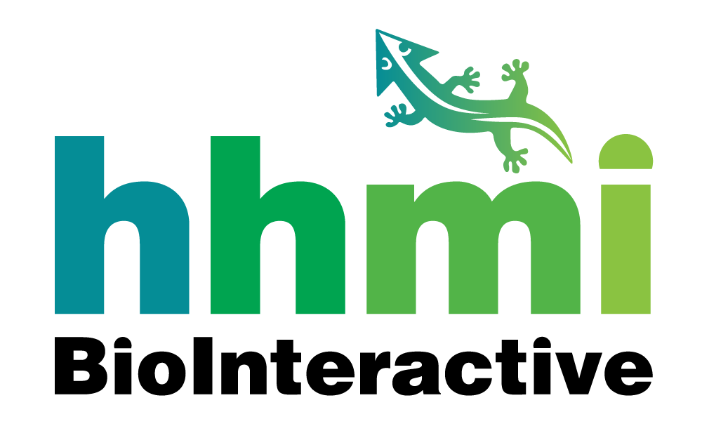 HHMI BioInteractive A&P FMN (2019) Logo