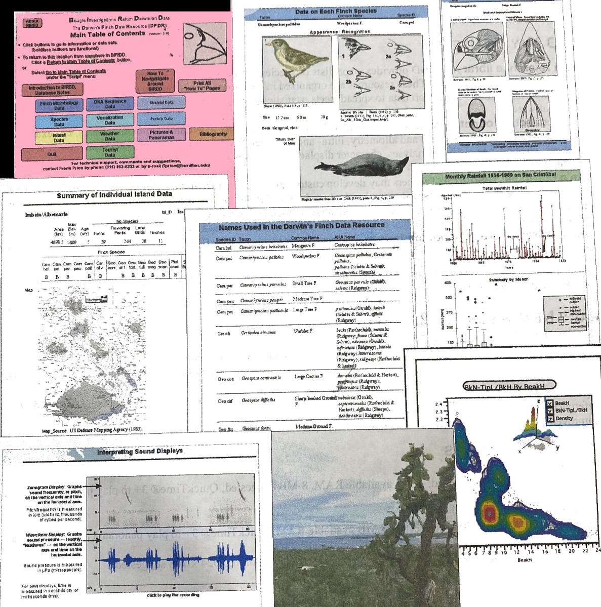 Collage of images from BIRDD 2.0 published on a CD in the Academic Press version of the BioQUEST Library. Frank built interfaces for dealing with numerous types of data: morphological, acoustic, video, taxonomic, geographic, sequence, and weather as well as historical data on different names of the islands. 