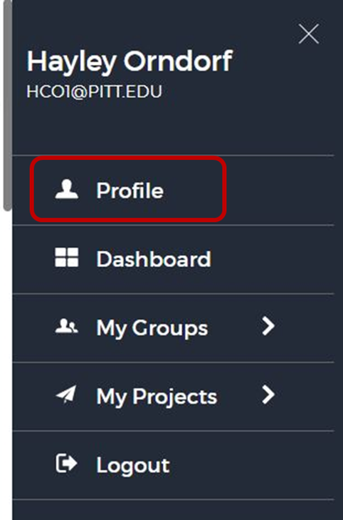 mini dashboard with profile highlighted