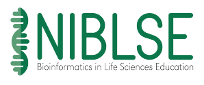 NIBLSE Logo