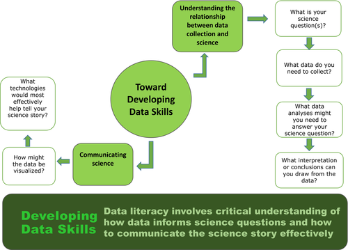 Developing Data Skills Figure