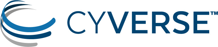 CYVERSE logo
