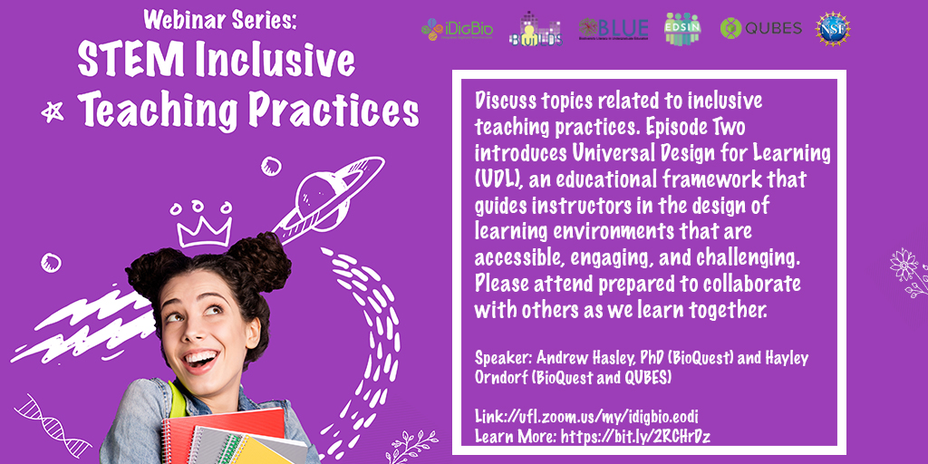 Inclusive Teaching Practices Logo