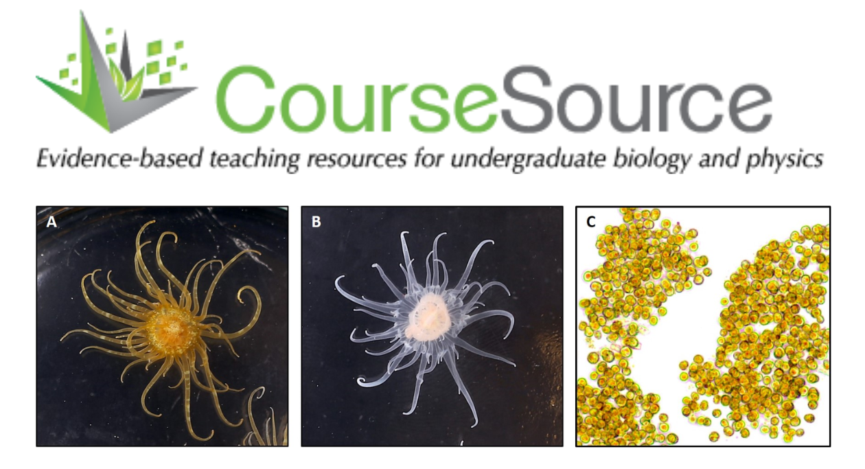 Course Source Logo with the SEA System partners: symbiotic anemones, aposymbiotic anemones, and dinoflagellate symbionts.