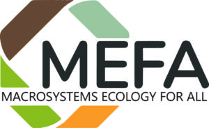 MEFA Logo