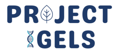 Project IGELS logo