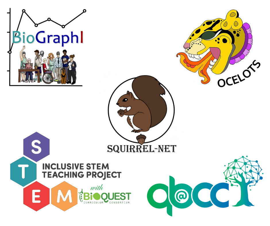 Logos for BioGraphI, OCELOTS, QB@CC, SquirrelNet and Inclusive Teaching Practices Projects 