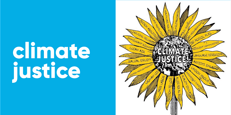Climate Justice Sunflower