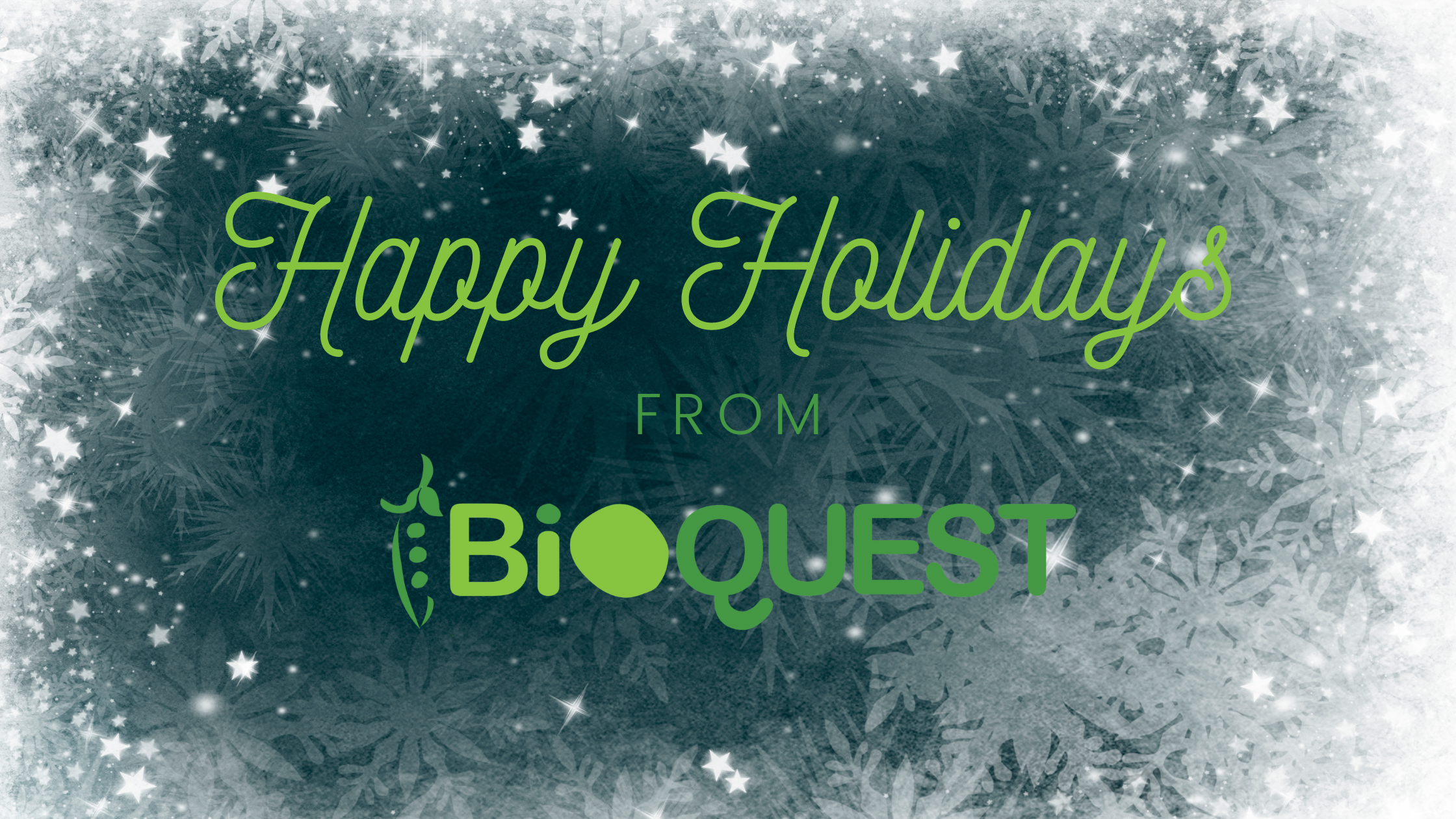 Happy Holidays from BioQUEST