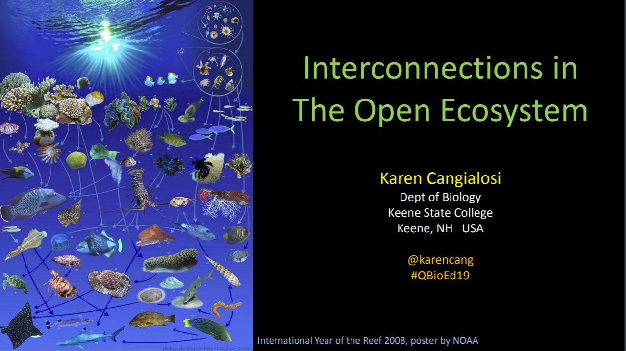 First slide of Interconnections in The Open Ecosystem
