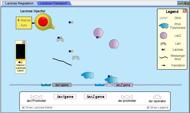 Screenshot of simulation software user interface