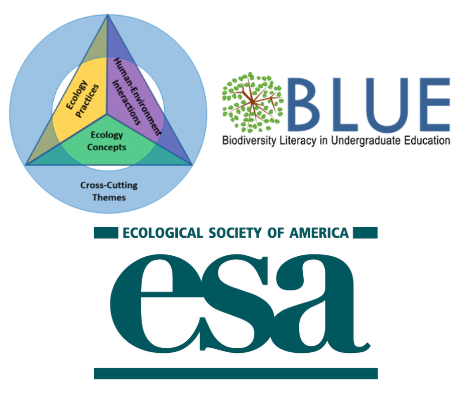 BLUE, 4DEE and ESA logos