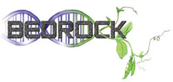 BEDROCK logo