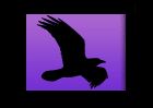 raven_logo.JPG