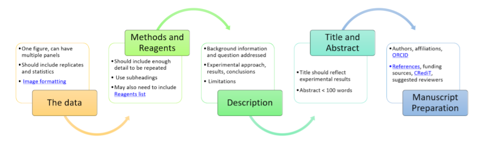 diagram of the writing process