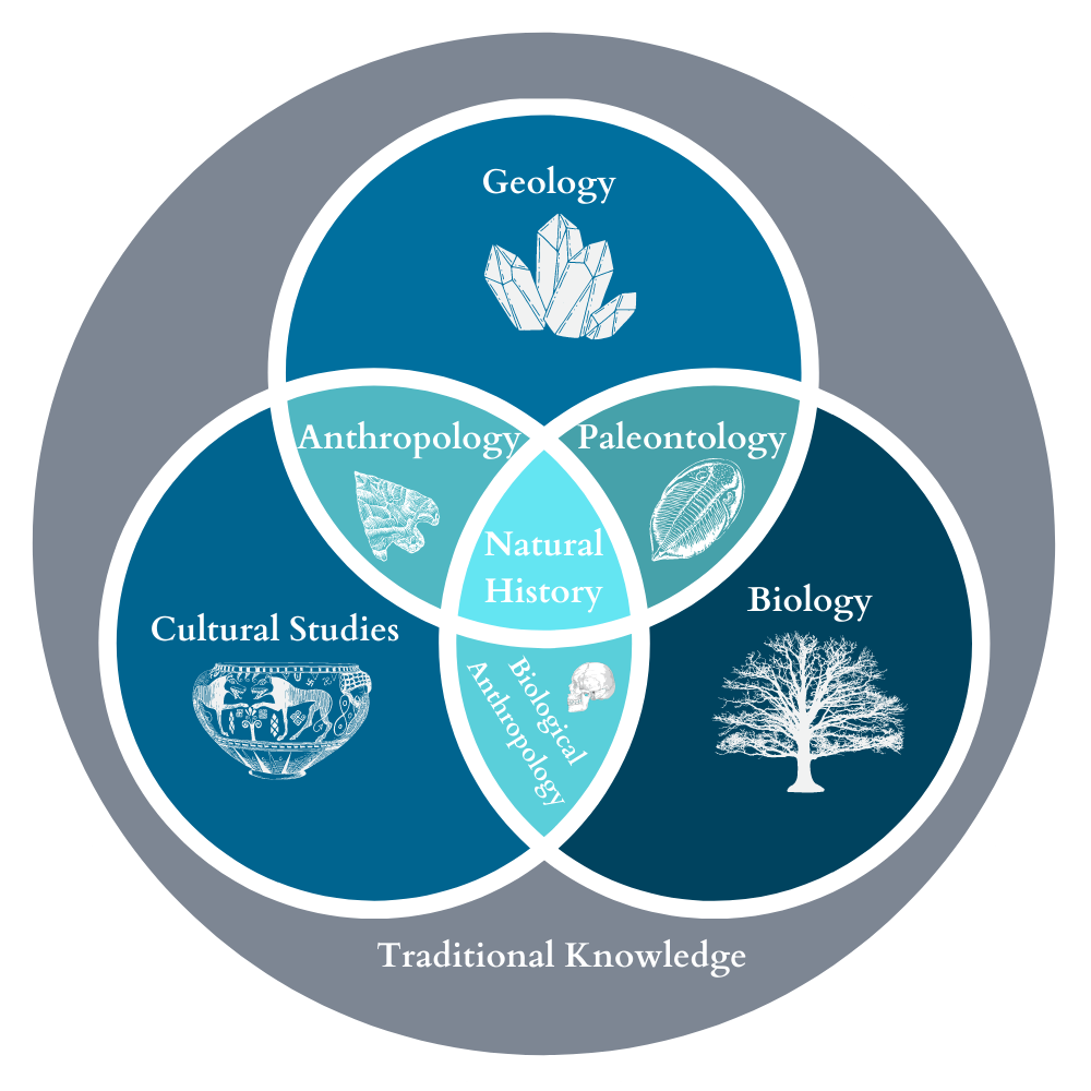 Left graphic is a logo built of circles. Outermost circle is traditional knowledge which encompasses all other fields. Ceramic pot, tree, crystal, arrowhead, trilobite, and skull graphics indicate natural history disciplines. Natural History is at the center of the Venn diagram.