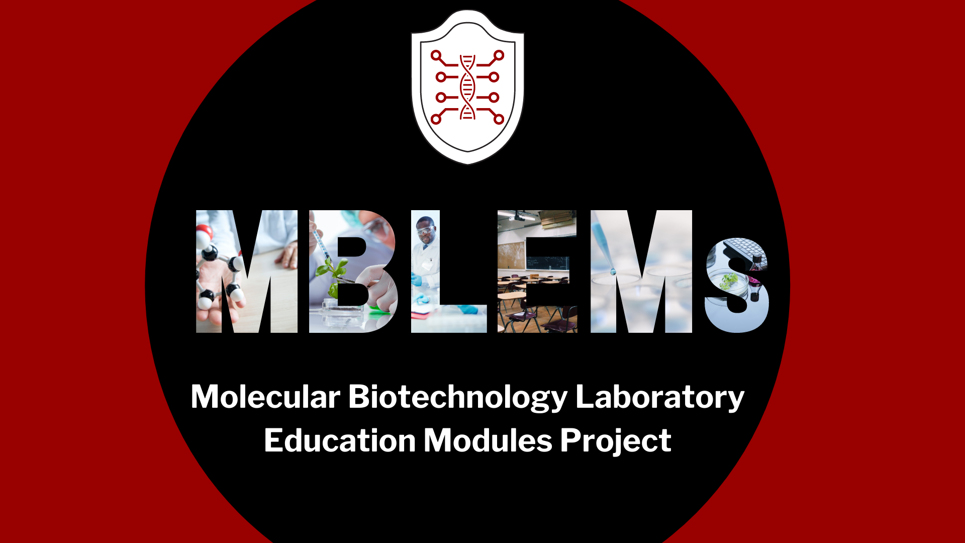 MBLEMs logo