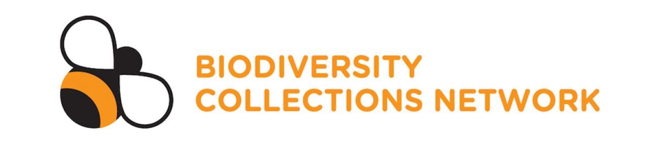 Biodiversity Collections Network logo