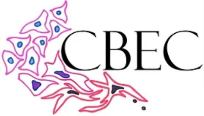 cbec Logo