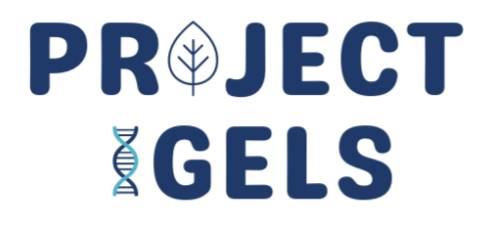 IGELS Logo