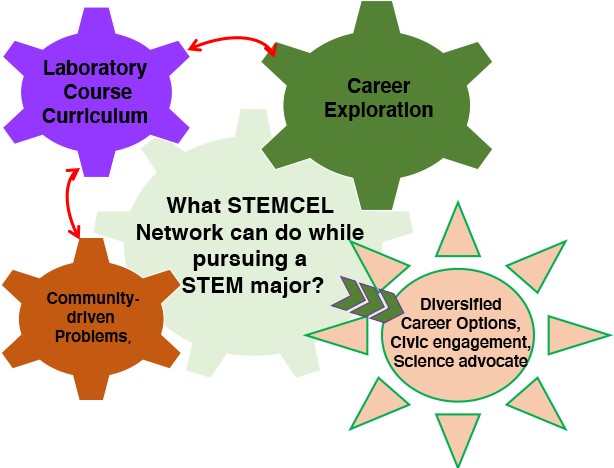 STEMCEL diagram