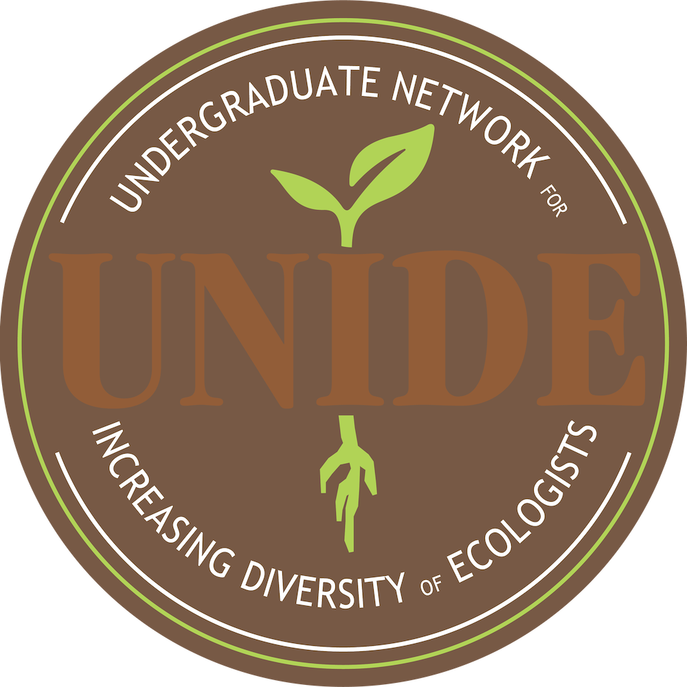 UNIDE Logo