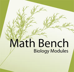 Math Bench Logo