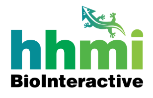 hhmi logo