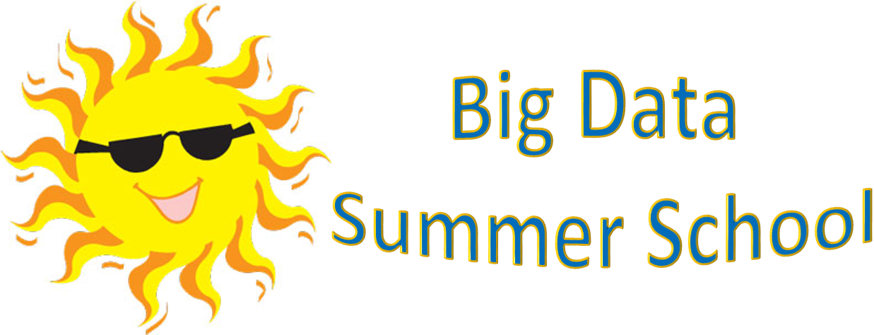 Big Data Summer School logo with image of a cartoon sun with sunglasses and stylized Big Data Summer School words