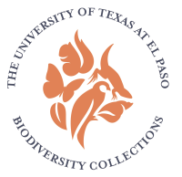 UTEP Biodiversity Collections Module Activities