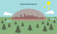 Carbon Sequestration and the Urban heat Island Effect