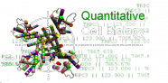 Intro to Quantitative Biology Course at W&M