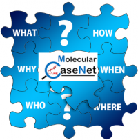 Molecular CaseNet: Intro Tutorials/Materials