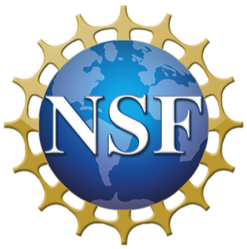 NSF.png