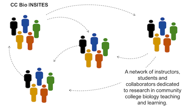 Diagram of CC Bio INSITES Network Connections