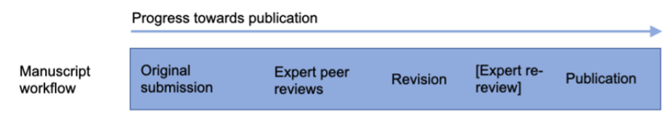 diagram of the publication workflow