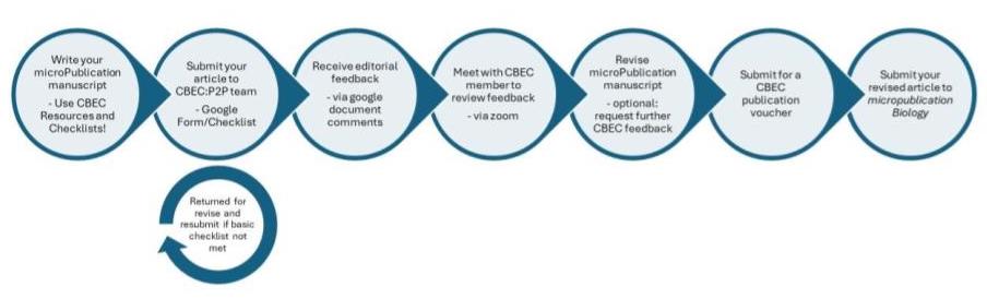 Image to aid in the navigation of how to submit a micropublication