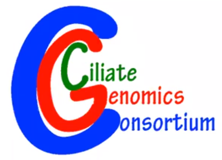 Logo: CGC