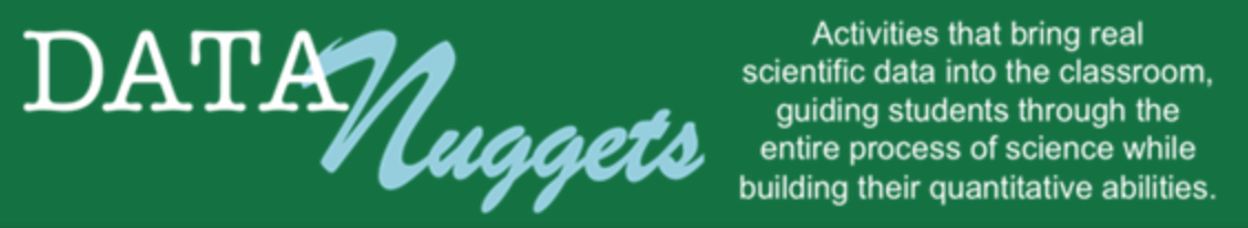 data nuggets logo