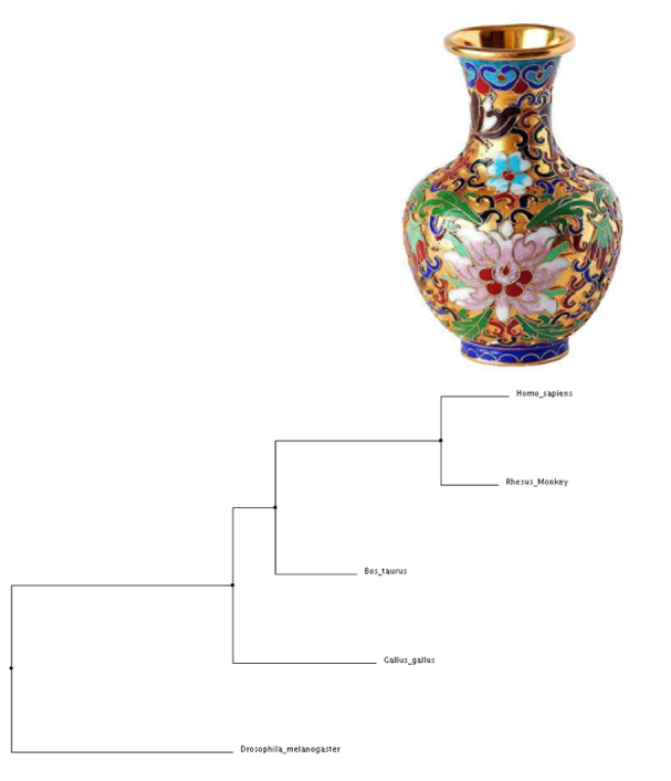 vase and phylogenetic tree