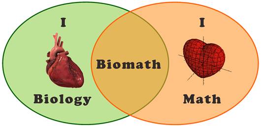 biomath heart model