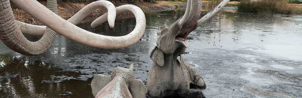 elephants in tar pits