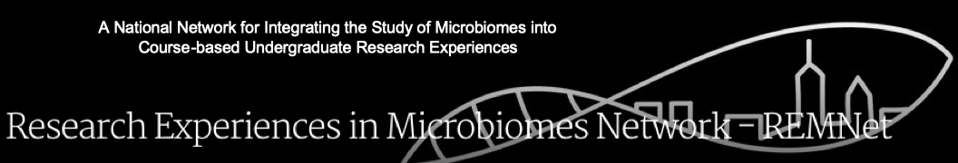 Research Experiences in Microbiomes Network - a national network for integrating the study of microbiomes into course-based undergraduate research experiences
