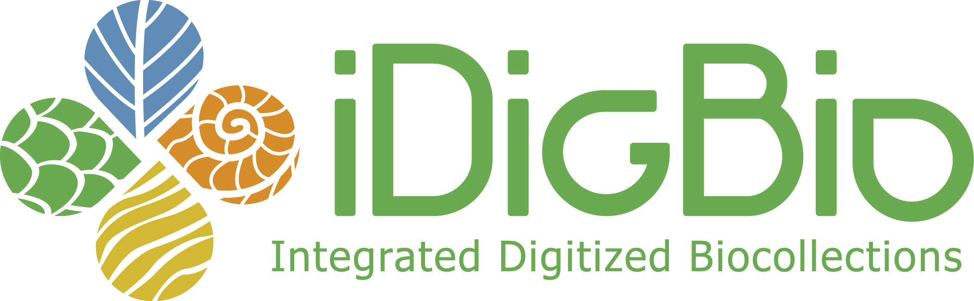 Integrated Digitized Biocollections (iDigBio) logo